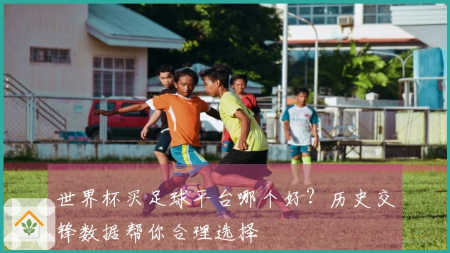 世界杯买足球平台哪个好?历史交锋数据帮你合理选择