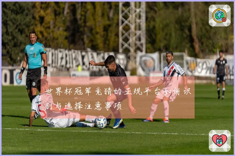 世界杯冠军竞猜的正规平台如何识别与选择注意事项