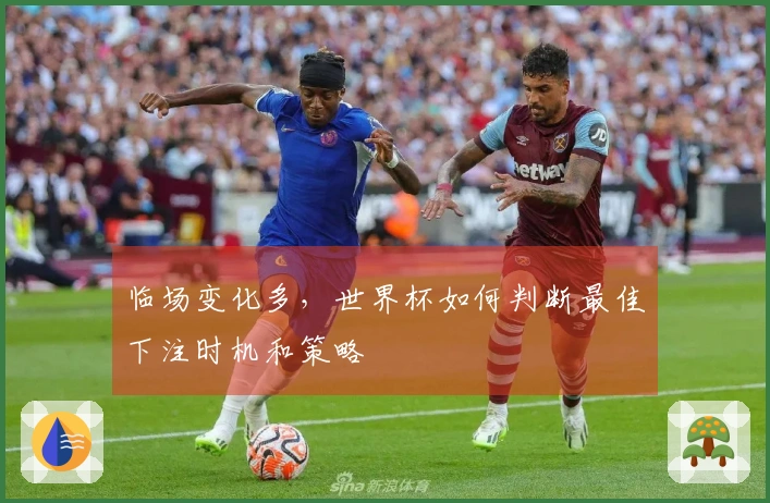 临场变化多,世界杯如何判断最佳下注时机和策略