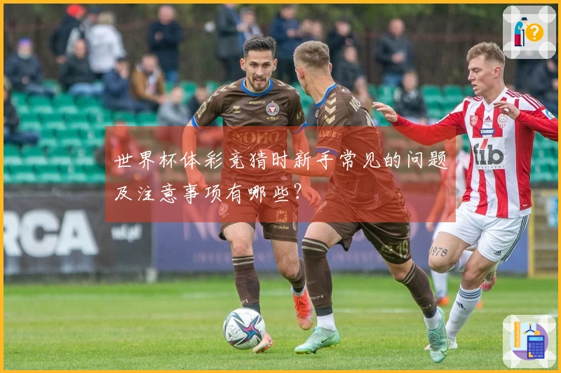 世界杯体彩竞猜时新手常见的问题及注意事项有哪些？