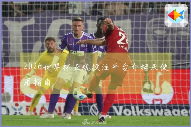 2026世界杯正规投注平台介绍及使用指南