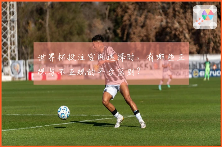 世界杯投注官网选择时,有哪些正规与不正规的平台区别?
