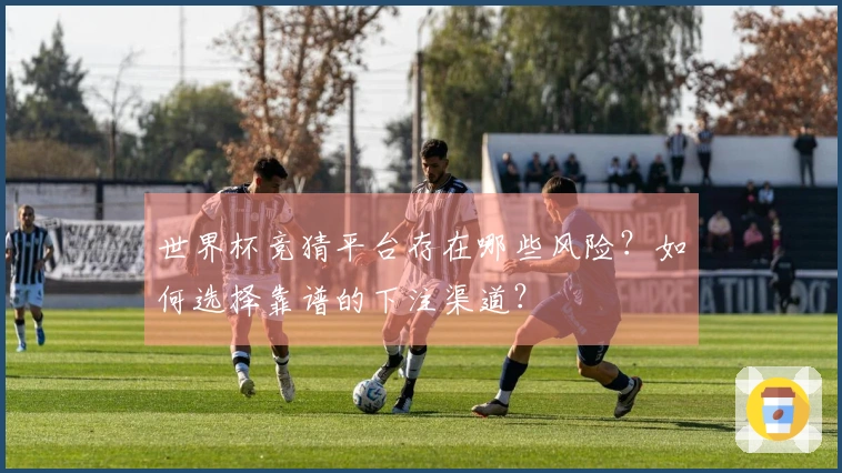 世界杯竞猜平台存在哪些风险?如何选择靠谱的下注渠道?