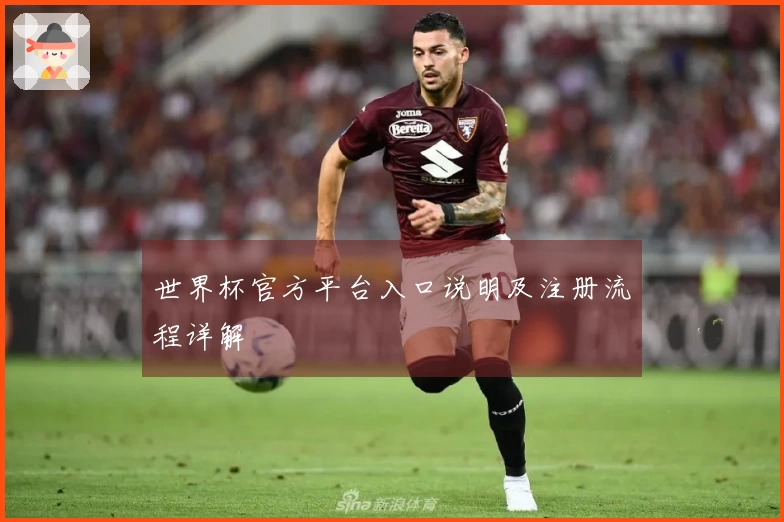 世界杯官方平台入口说明及注册流程详解