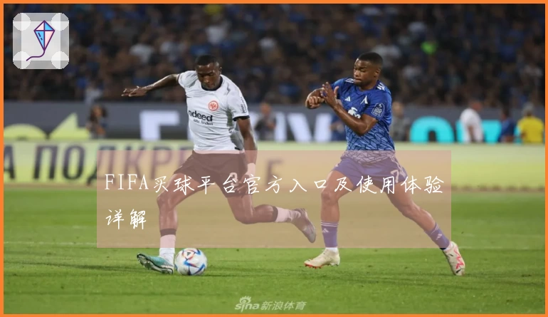 FIFA买球平台官方入口及使用体验详解