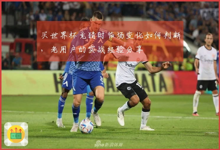 买世界杯竞猜时临场变化如何判断,老用户的实战经验分享