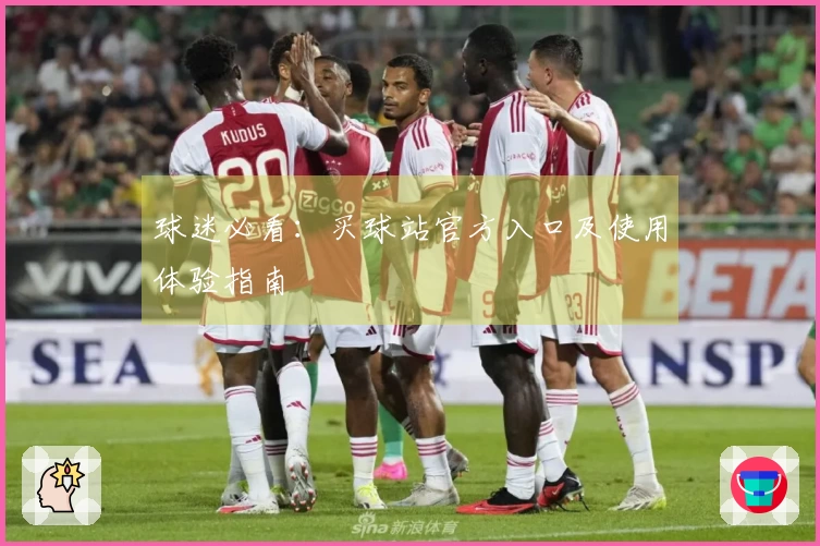 球迷必看：买球站官方入口及使用体验指南