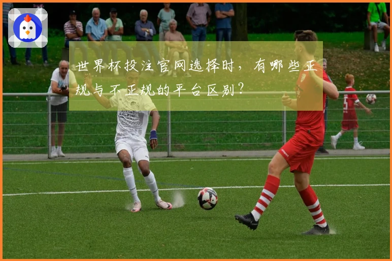 世界杯投注官网选择时，有哪些正规与不正规的平台区别？