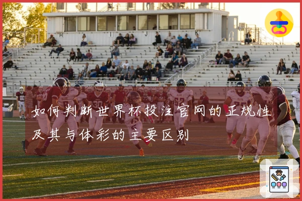 如何判断世界杯投注官网的正规性及其与体彩的主要区别