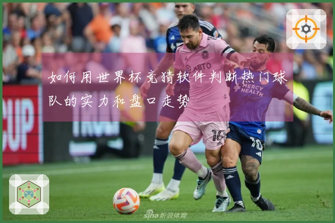 如何用世界杯竞猜软件判断热门球队的实力和盘口走势