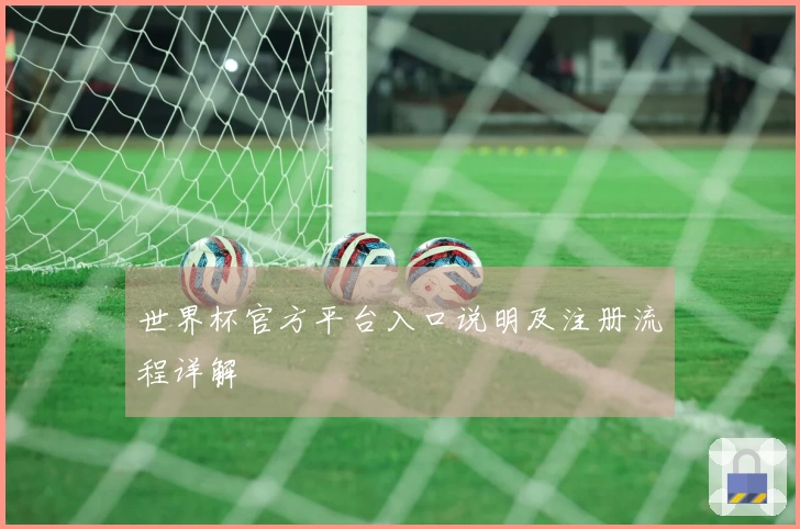 世界杯官方平台入口说明及注册流程详解