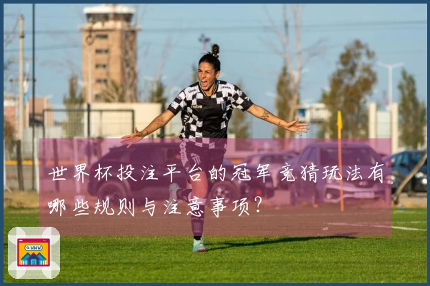 世界杯投注平台的冠军竞猜玩法有哪些规则与注意事项？