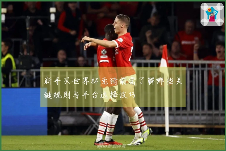 新手买世界杯竞猜前需了解哪些关键规则与平台选择技巧