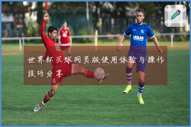 世界杯买球网页版使用体验与操作技巧分享