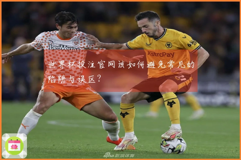 世界杯投注官网该如何避免常见的陷阱与误区？